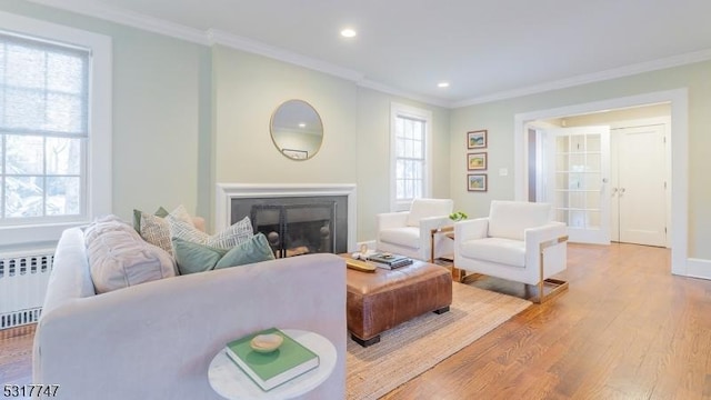 living room featuring light hardwood / wood-style flooring, radiator, and ornamental molding