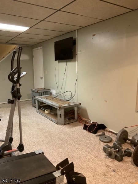 workout room with a drop ceiling and carpet flooring