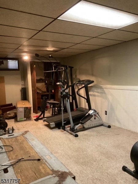 workout area featuring a paneled ceiling and carpet flooring