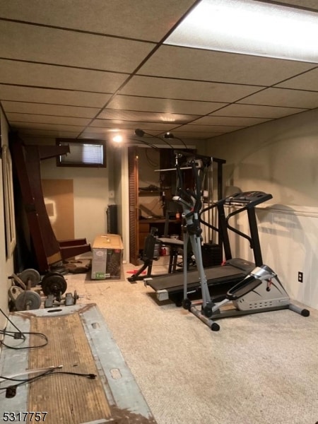 workout room with carpet and a drop ceiling