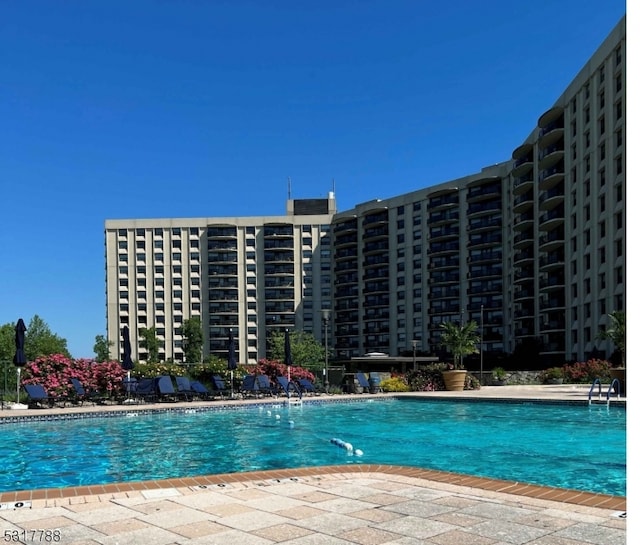 view of swimming pool