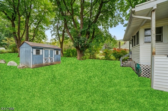 view of yard with a storage unit