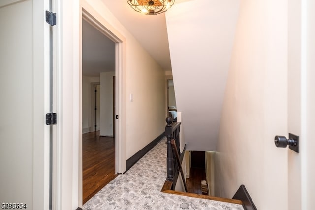 staircase featuring hardwood / wood-style floors