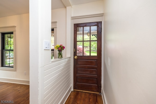 entryway featuring dark wood-type flooring