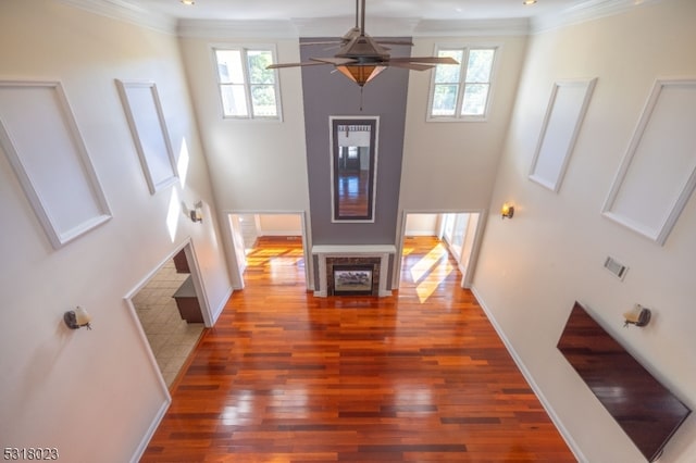 interior space featuring crown molding, plenty of natural light, and dark hardwood / wood-style floors