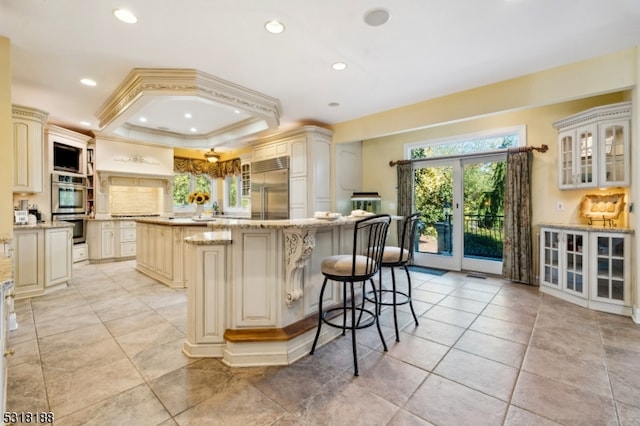 kitchen with stainless steel appliances, a tray ceiling, ornamental molding, light stone countertops, and a center island