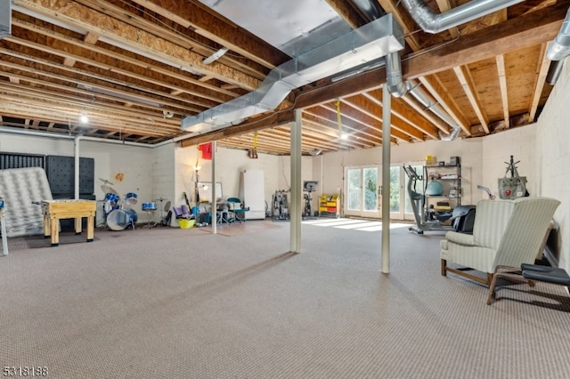 basement featuring carpet floors