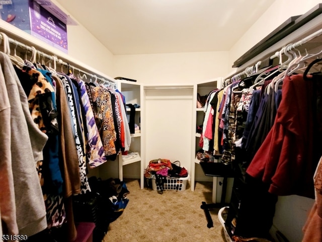 walk in closet featuring carpet