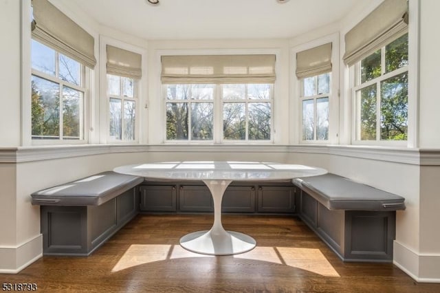 unfurnished sunroom with plenty of natural light