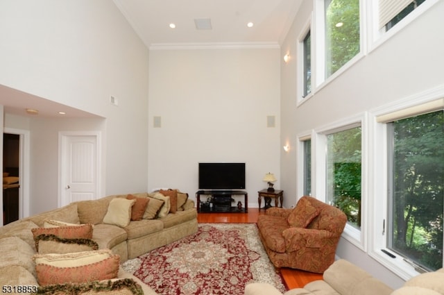 living room with crown molding, a high ceiling, and hardwood / wood-style floors