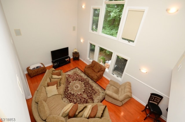 living room with a towering ceiling and wood-type flooring