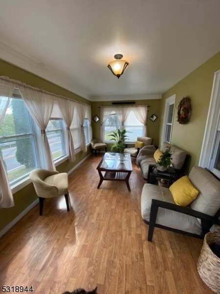 living room with light wood-type flooring and a healthy amount of sunlight