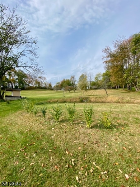 view of yard featuring a rural view