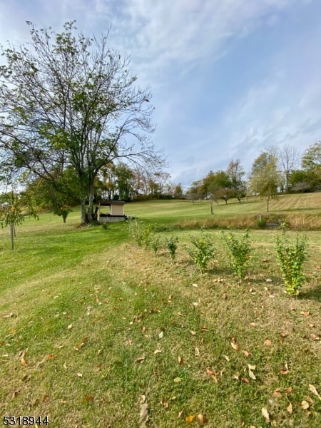 view of yard featuring a rural view