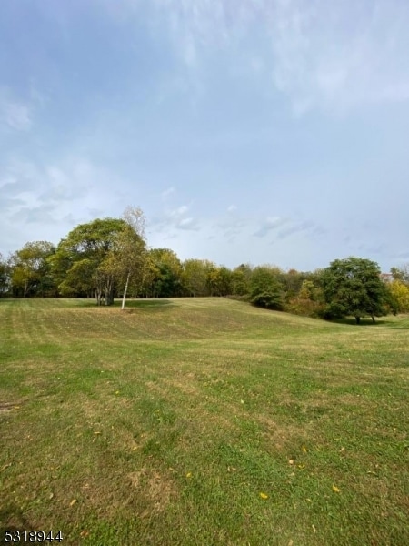 view of local wilderness with a rural view