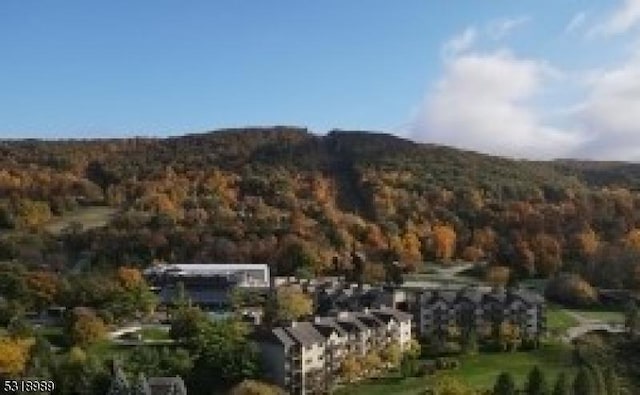 mountain view featuring a wooded view