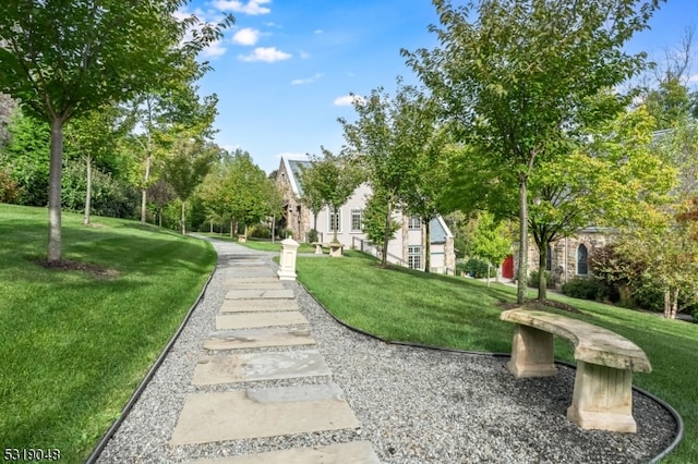 view of community featuring a yard