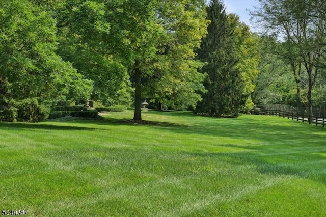 3 Winston Farm Ln, Mendham Twp, NJ 07931 - view of yard