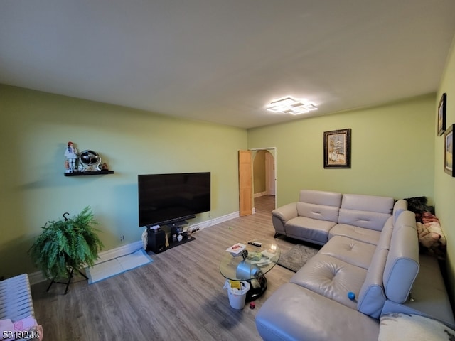 living room featuring hardwood / wood-style flooring