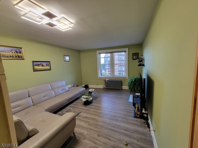 living room featuring wood-type flooring and radiator heating unit