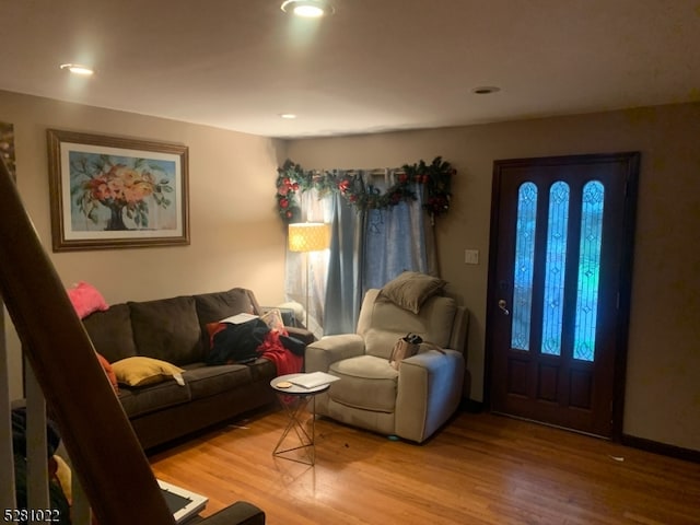 living room with wood-type flooring