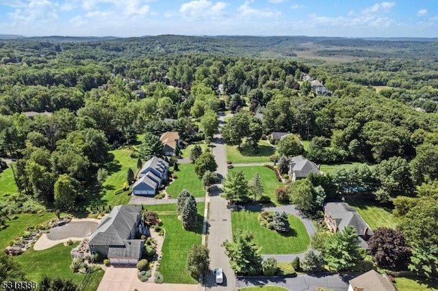 aerial view with a view of trees