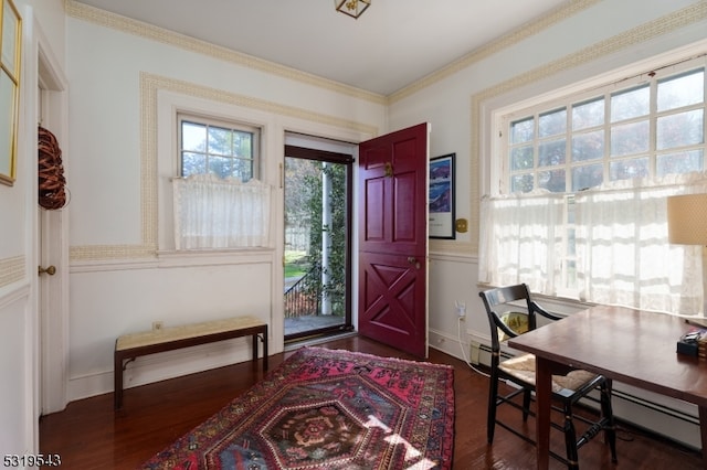 foyer with ornamental molding, dark wood-type flooring, and a baseboard heating unit