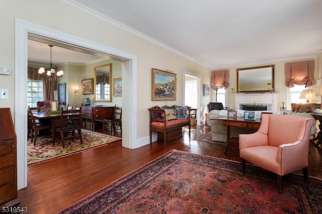 living room featuring ornamental molding, a notable chandelier, dark hardwood / wood-style floors, and a healthy amount of sunlight