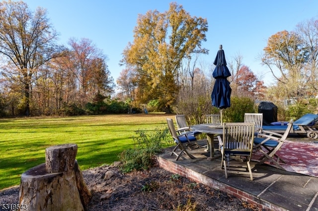 view of yard with a patio area