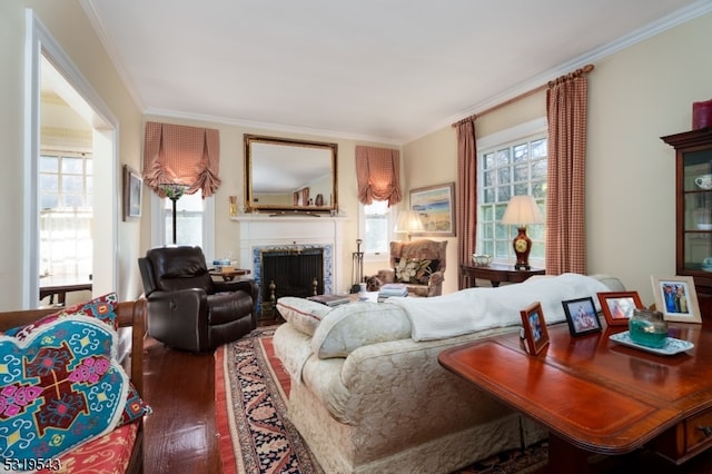 living room featuring ornamental molding and dark hardwood / wood-style flooring