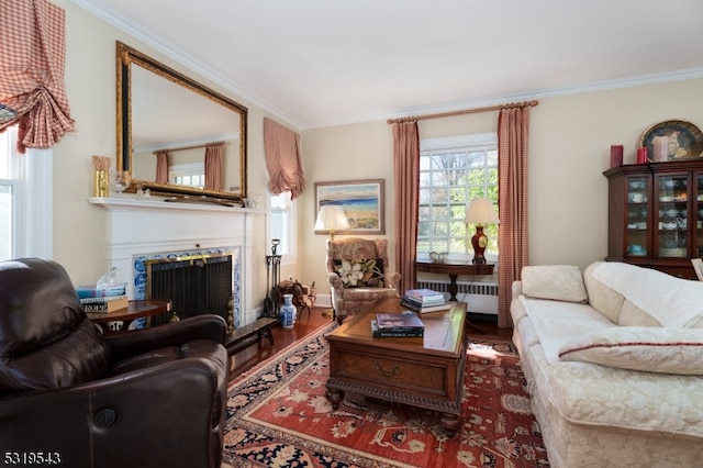 living room with crown molding, wood-type flooring, and radiator