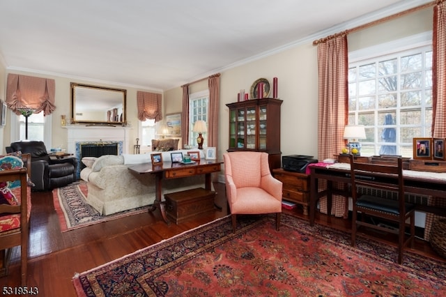 living room featuring crown molding and wood-type flooring