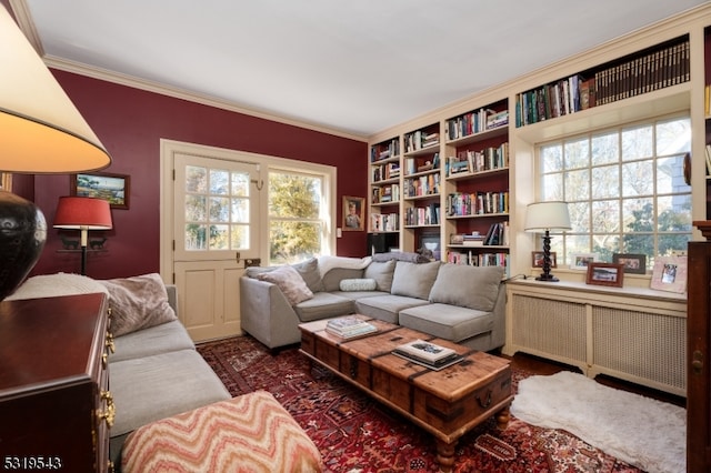 living room featuring a wealth of natural light, crown molding, and radiator