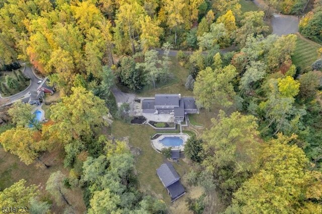 110 Colonial Dr, Harding Twp, NJ 07960 - aerial view of property and surrounding area with a heavily wooded area and a pool area