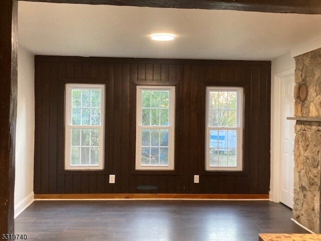 empty room with wooden walls, dark hardwood / wood-style floors, and a wealth of natural light