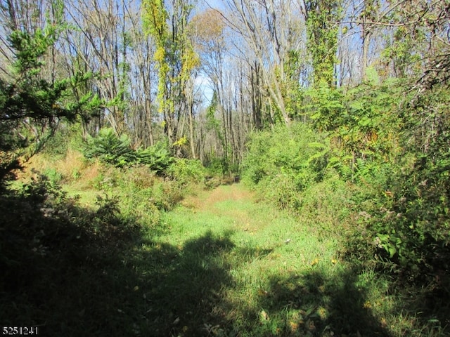 00 Clark Rd, Wantage Twp NJ, 07461 land for sale