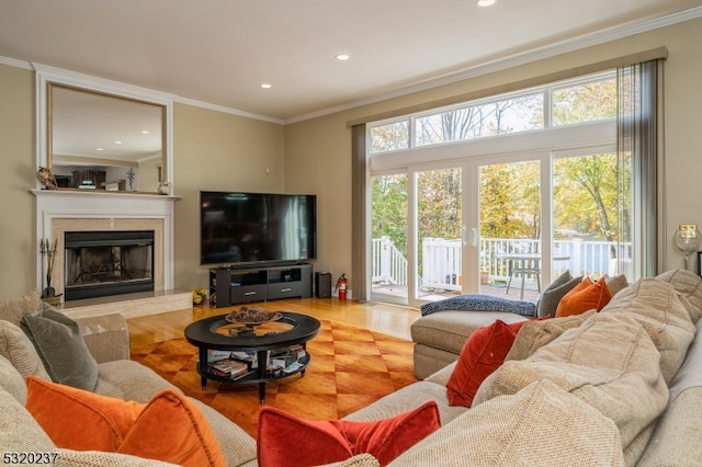 living room with ornamental molding and a fireplace