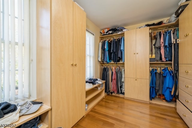 walk in closet featuring light wood-type flooring