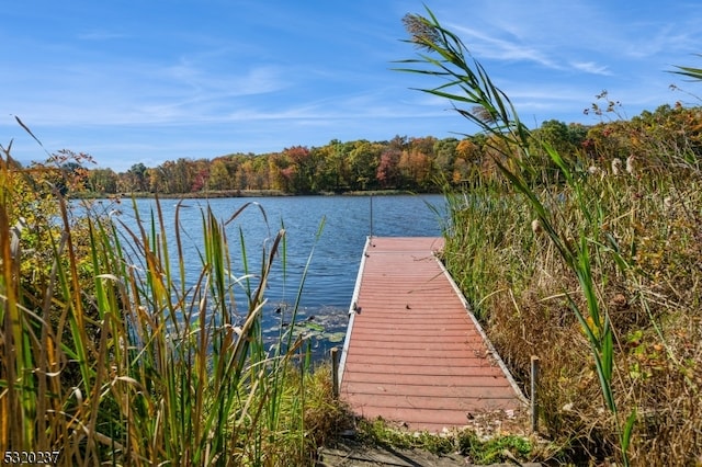 dock area featuring a water view