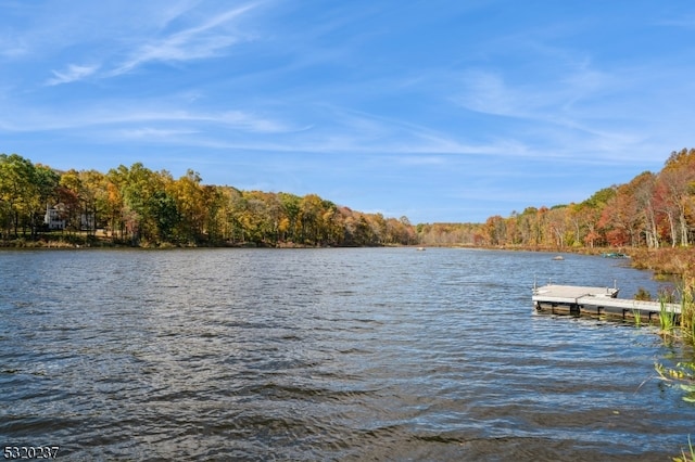 view of dock with a water view