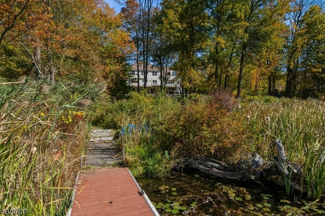 view of dock featuring a water view