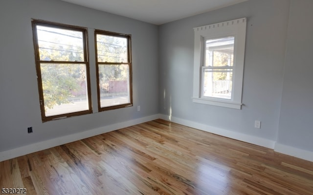 spare room featuring plenty of natural light and light wood-type flooring