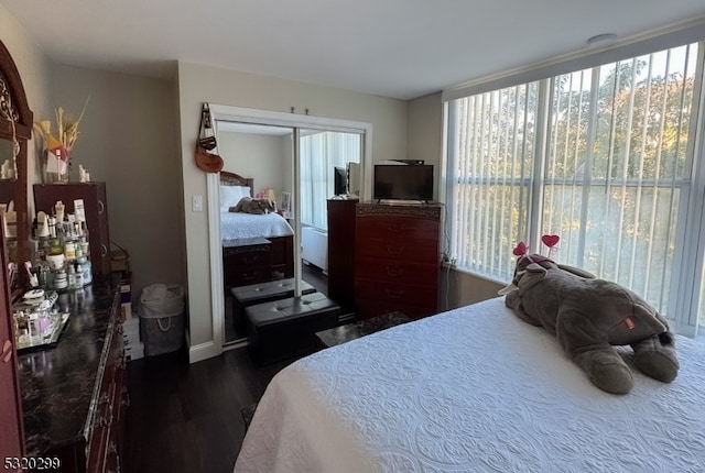 bedroom with a closet and dark hardwood / wood-style floors