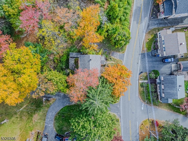 bird's eye view