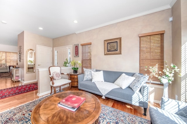 living room with ornamental molding and hardwood / wood-style floors