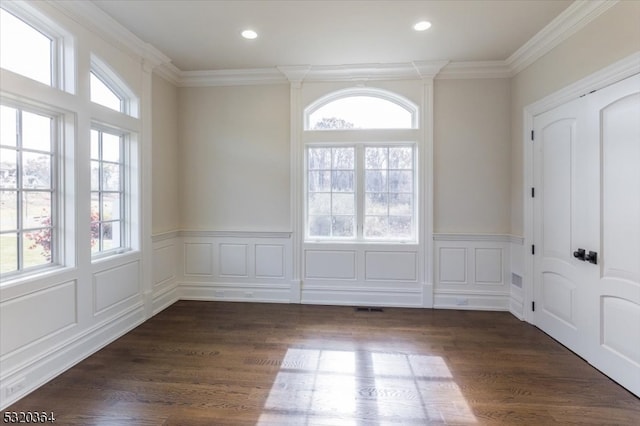 spare room featuring ornamental molding, a wealth of natural light, and dark wood-type flooring