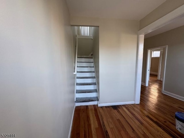 stairs with hardwood / wood-style floors