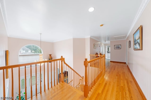 hall featuring crown molding and hardwood / wood-style floors