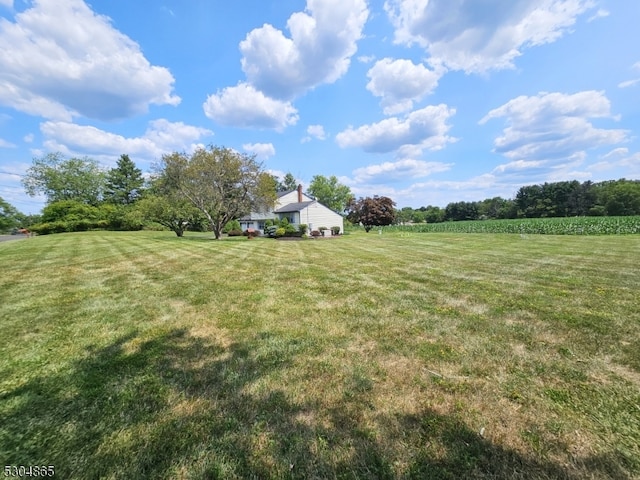 view of yard featuring a rural view