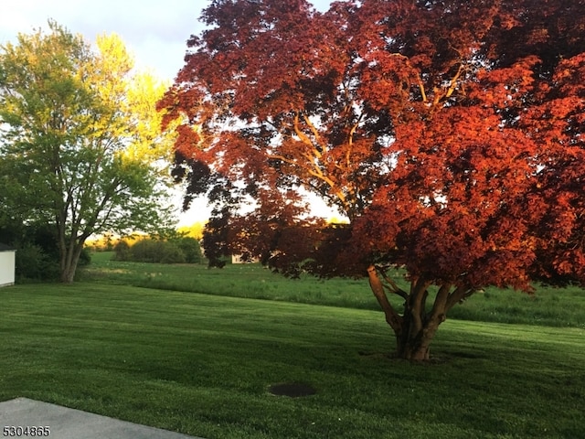 view of property's community featuring a lawn